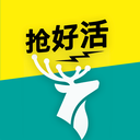 灵鹿抢好活